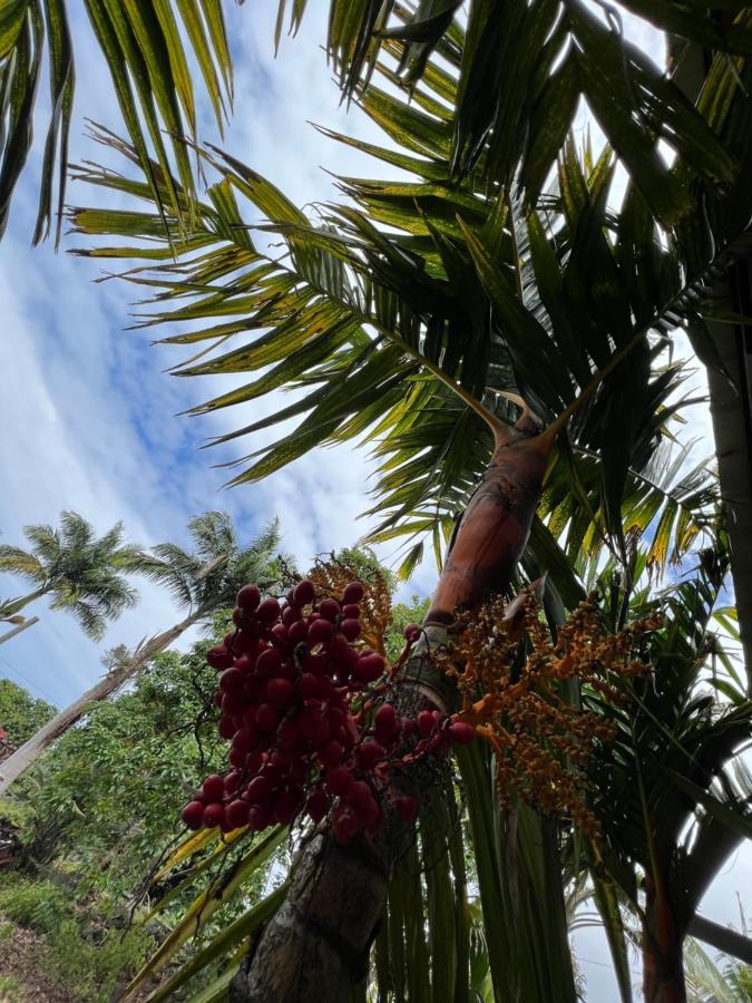 فيلا Hawaii Getaway Holualoa المظهر الخارجي الصورة